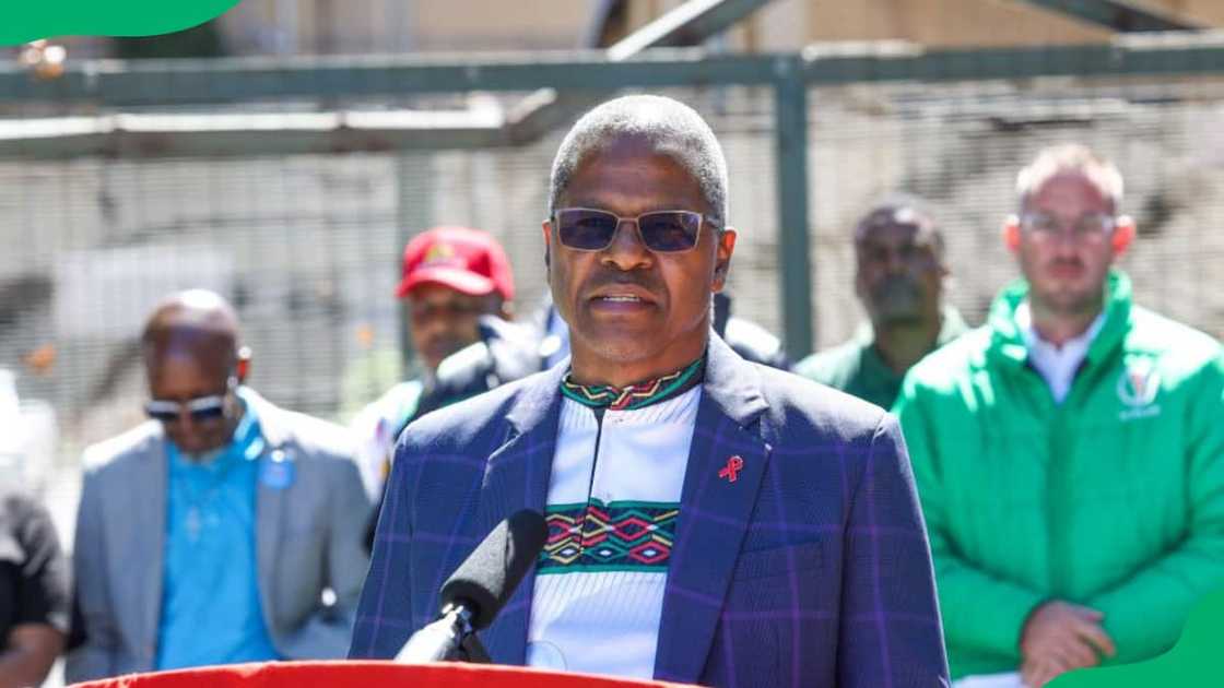 biggest political parties in South Africa biggest political parties in South Africa