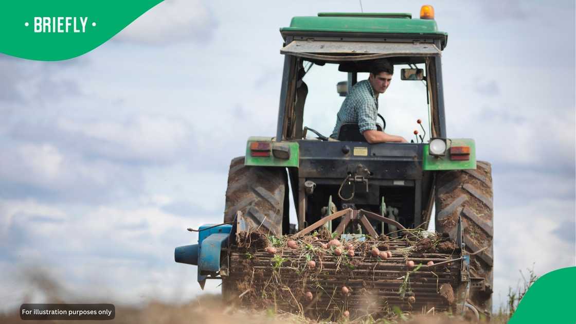 A farmer.