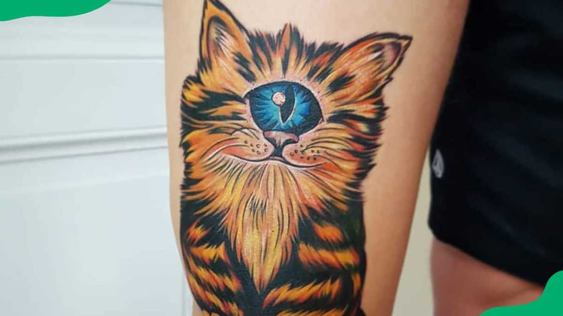 Graffiti street cat Graffiti street cat