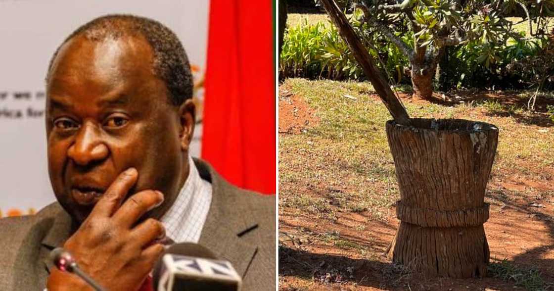 Tito Mboweni, social media, culture, Mzansi Tito Mboweni, social media, culture, Mzansi