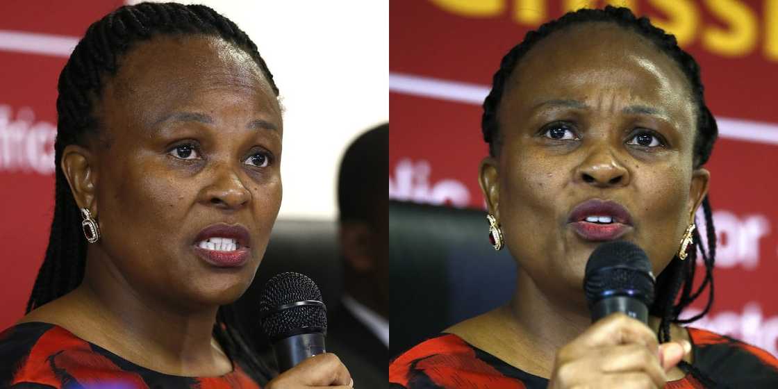 Busisiwe Mkwhebane: Casac and Corruption Watch Present Their Cases Against Public Protector in Court Busisiwe Mkwhebane: Casac and Corruption Watch Present Their Cases Against Public Protector in Court