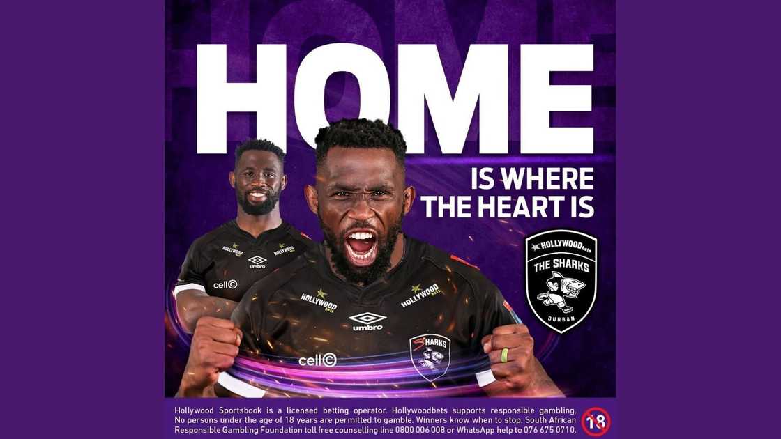 Siya Kolisi will soon be back with the Hollywoodbets Sharks team.