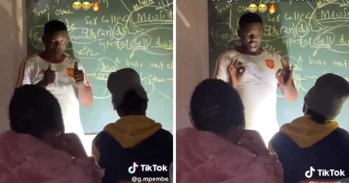 TikTok teacher teaching biology through song TikTok teacher teaching biology through song