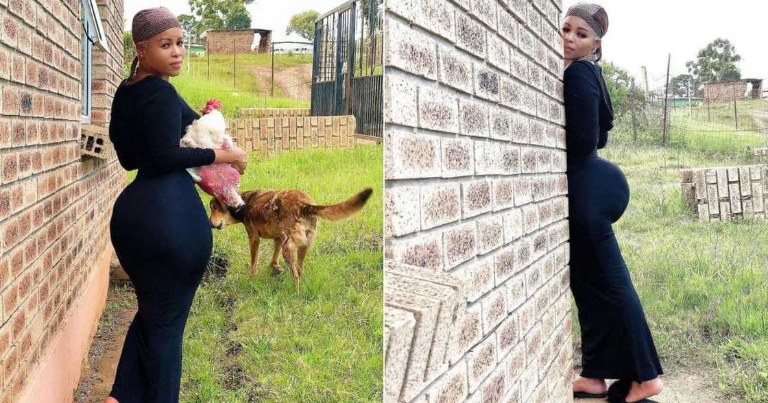 Stunning Woman, Chicken, Dog, South Africa Stunning Woman, Chicken, Dog, South Africa