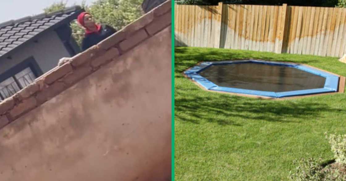 TikTok video shows domestic worker on trampoline TikTok video shows domestic worker on trampoline