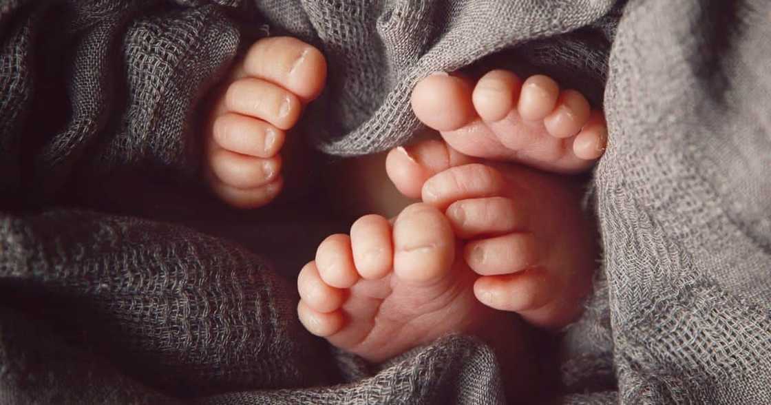 Limpopo, conjoined twins, die, a week after birth, Jane Furse hospital, specialist, 41-year-old mother Limpopo, conjoined twins, die, a week after birth, Jane Furse hospital, specialist, 41-year-old mother