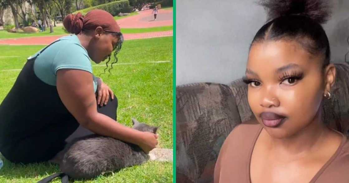 student cuddles cat student cuddles cat