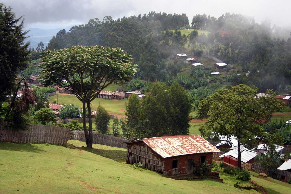 A rural village in a forested, hilly landscape. A rural village in a forested, hilly landscape.