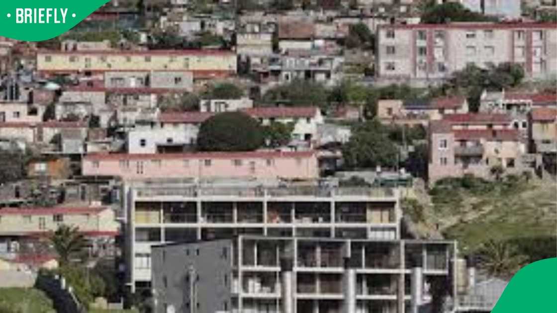 Hout Bay community Hout Bay community