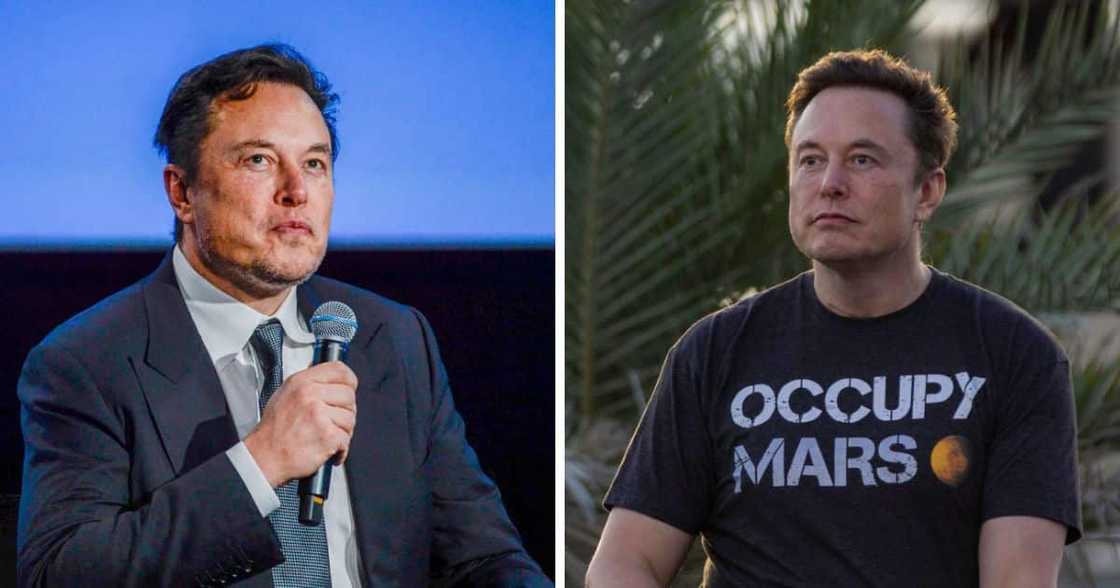 elon musk elon musk