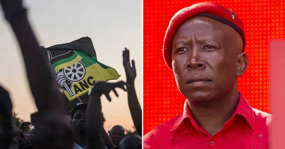 Julius Malema Julius Malema