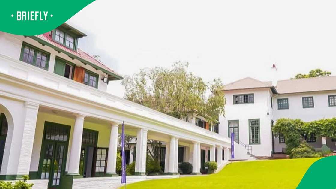 Captivating Roedean School Principal Quits Over Sports Row With King David Background for Your Screen Captivating Roedean School Principal Quits Over Sports Row With King David Background for Your Screen