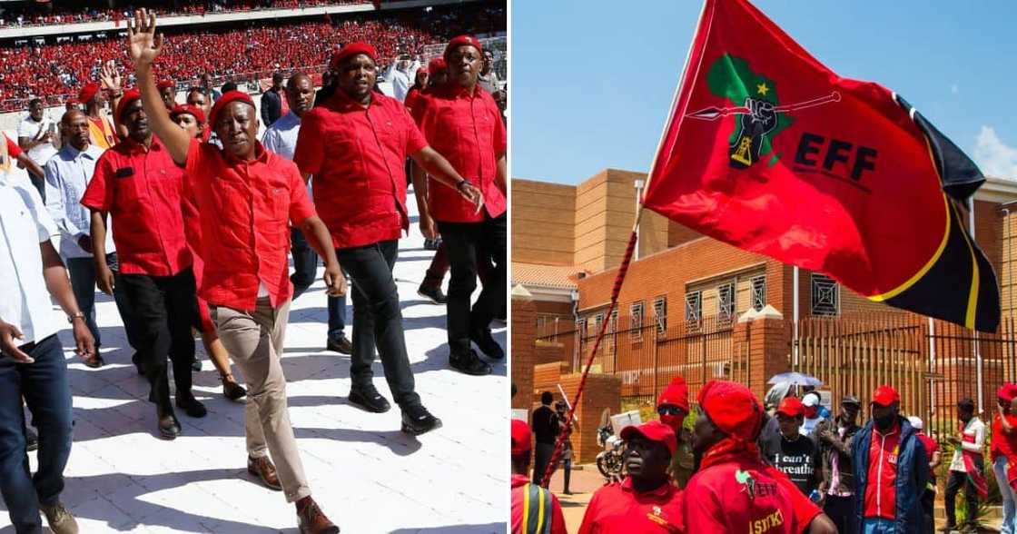 The Economic Freedom Fighters The Economic Freedom Fighters