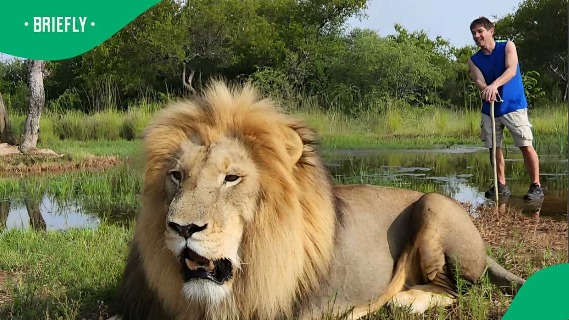 Wild Charles has many videos with dangerous animals including lions, crocodiles and more snakes Wild Charles has many videos with dangerous animals including lions, crocodiles and more snakes