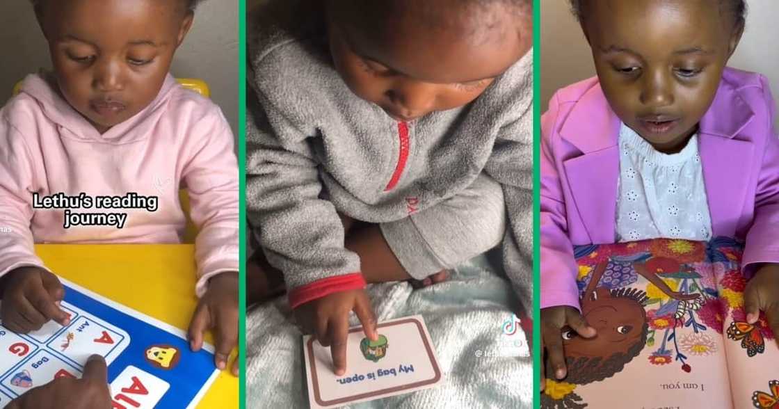 A well-read toddler amazed the internet A well-read toddler amazed the internet