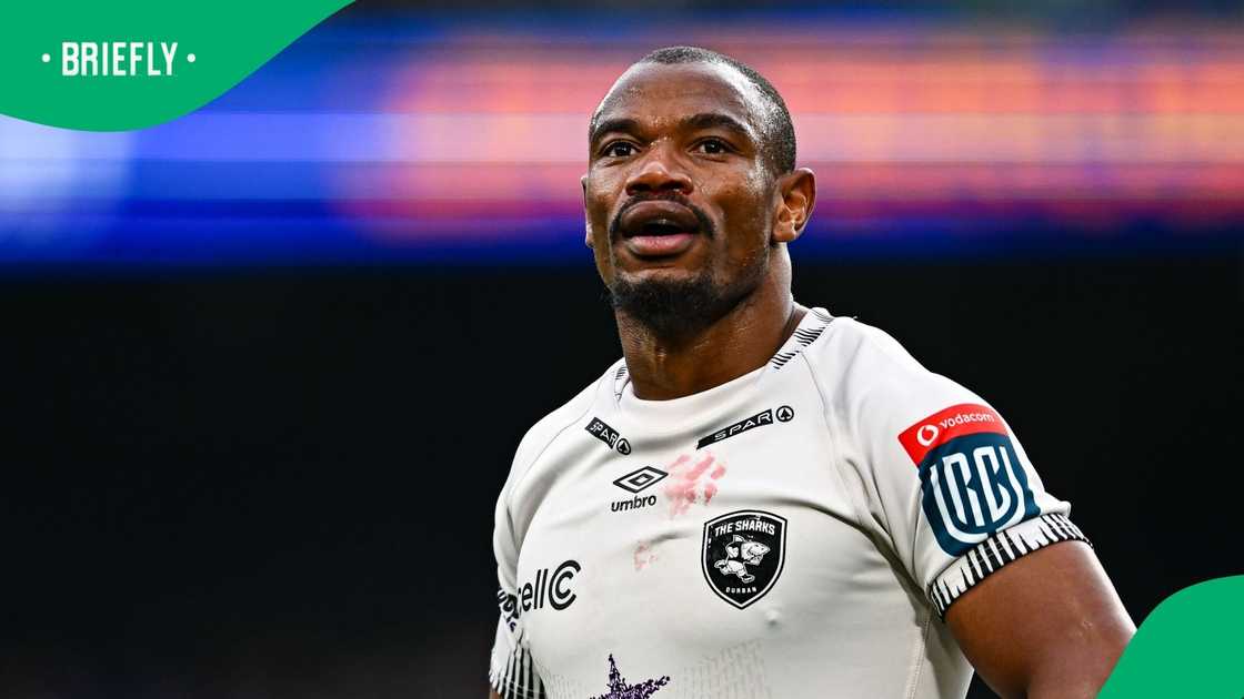 Makazole Mapimpi, Sharks, Springboks Makazole Mapimpi, Sharks, Springboks