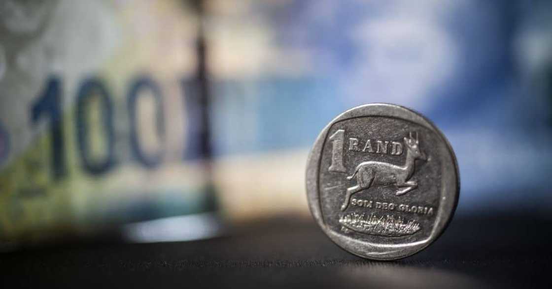 Tiger Brands, venture capital fund, food and beverage entrepreneurs Tiger Brands, venture capital fund, food and beverage entrepreneurs