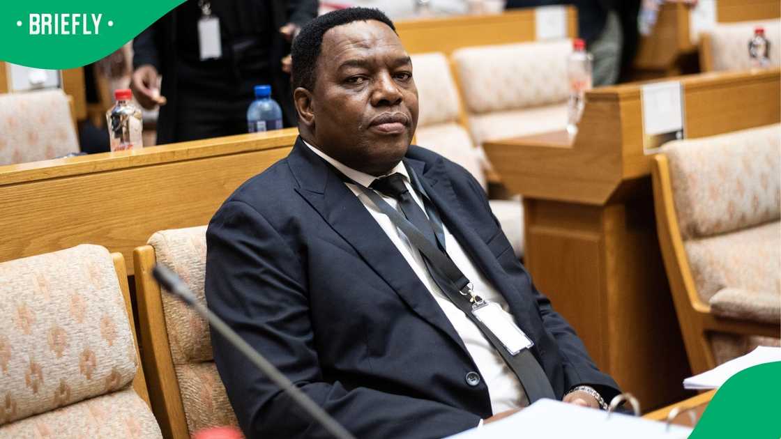 Fannie Masemola appearing before Parliament's Ad Hoc Committe