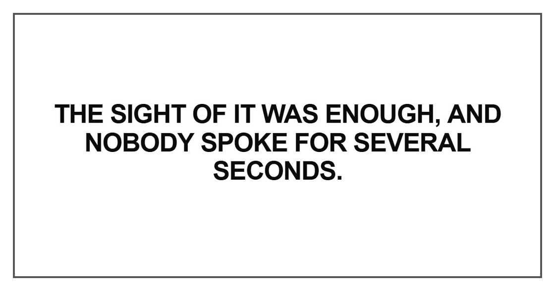 The sight of it was enough, and nobody spoke for several seconds
