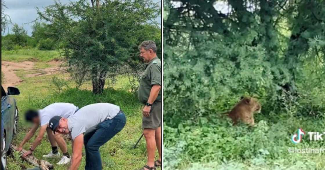 BMW breaks down in Kruger National Park