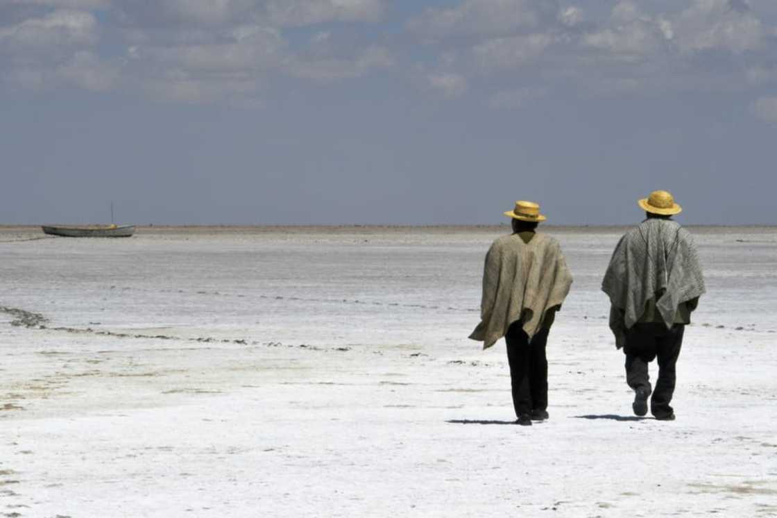 Scientists have blamed a confluence of factors including climate change and water extraction for Bolivia's Lake Poopo's lake drying up Scientists have blamed a confluence of factors including climate change and water extraction for Bolivia's Lake Poopo's lake drying up