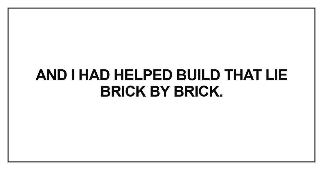 And I had helped build that lie brick by brick