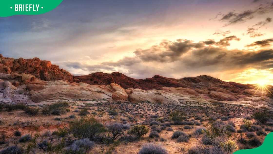 The Mojave dry landscape