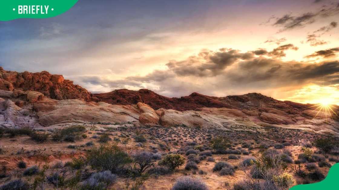 The Mojave dry landscape The Mojave dry landscape