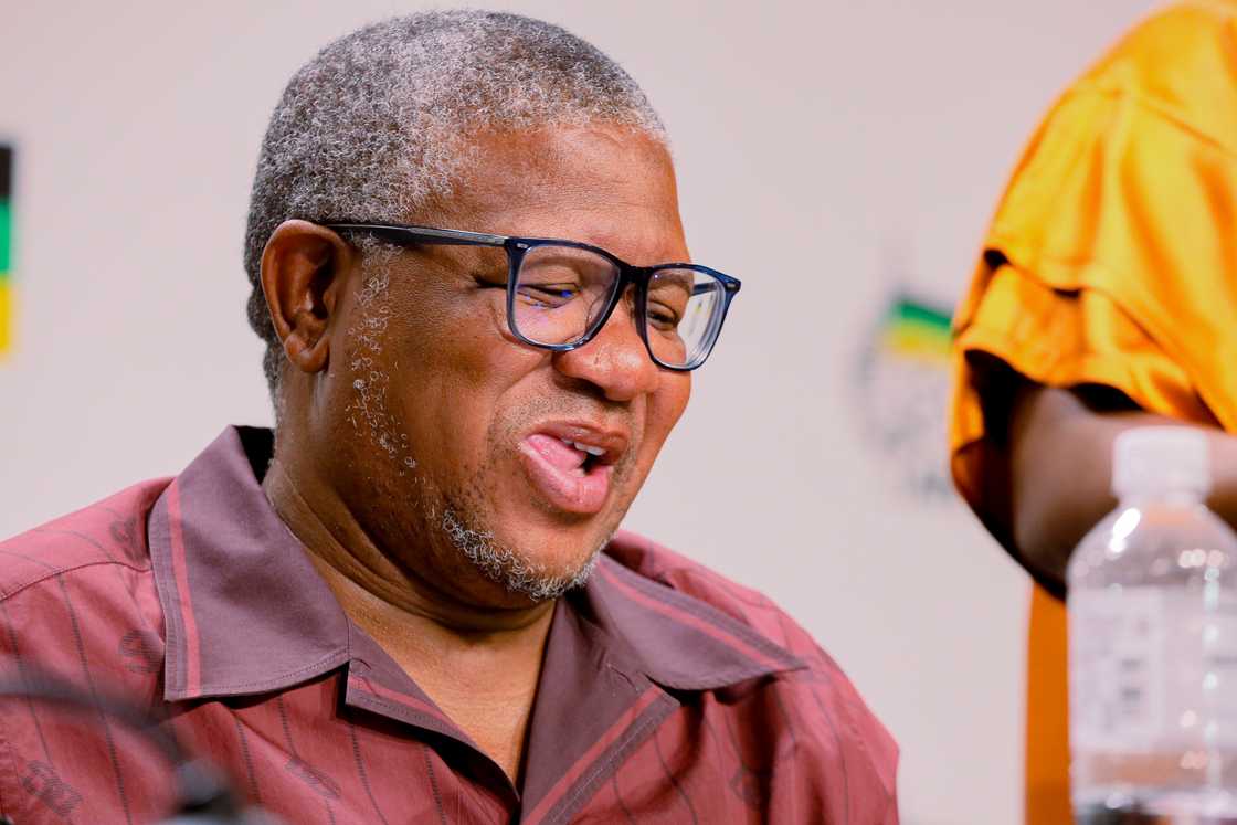 Fikile Mbalula Takes a Swipe at DA During ANC Press Briefing, South Africans Not Impressed