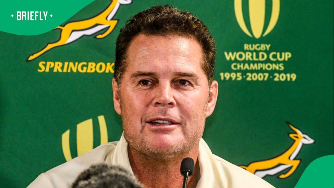Rassie Erasmus to receive South Africa's highest honour