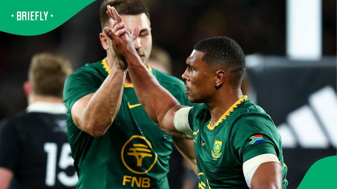 Damian Willemse, New Zealand, All Blacks, South Africa, Springboks. Damian Willemse, New Zealand, All Blacks, South Africa, Springboks.