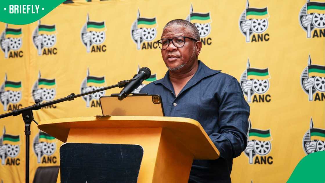 Fikile Mbalula will oversee the war room