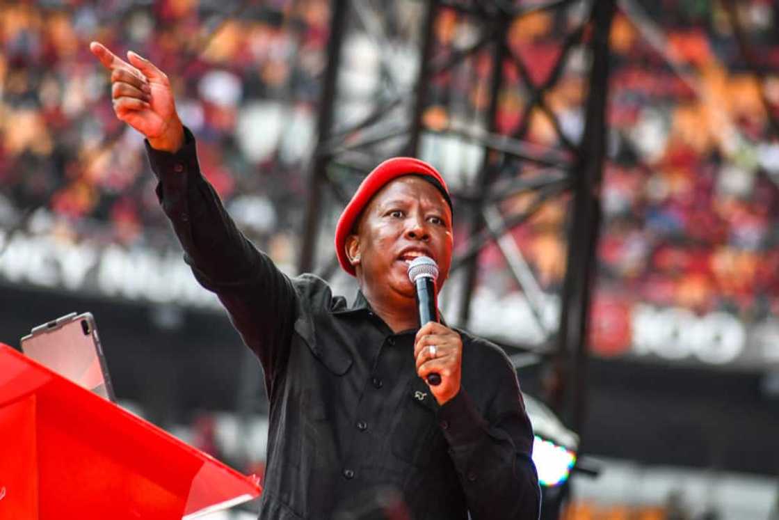 Economic Freedom Fighter's leader Julius Malema has been called out for slamming Magistrate Twanet Olivier Economic Freedom Fighter's leader Julius Malema has been called out for slamming Magistrate Twanet Olivier