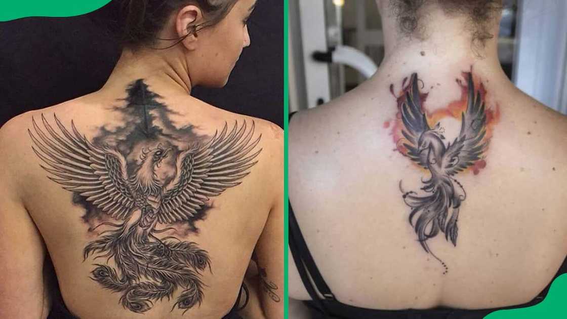 Phoenix back tattoos Phoenix back tattoos