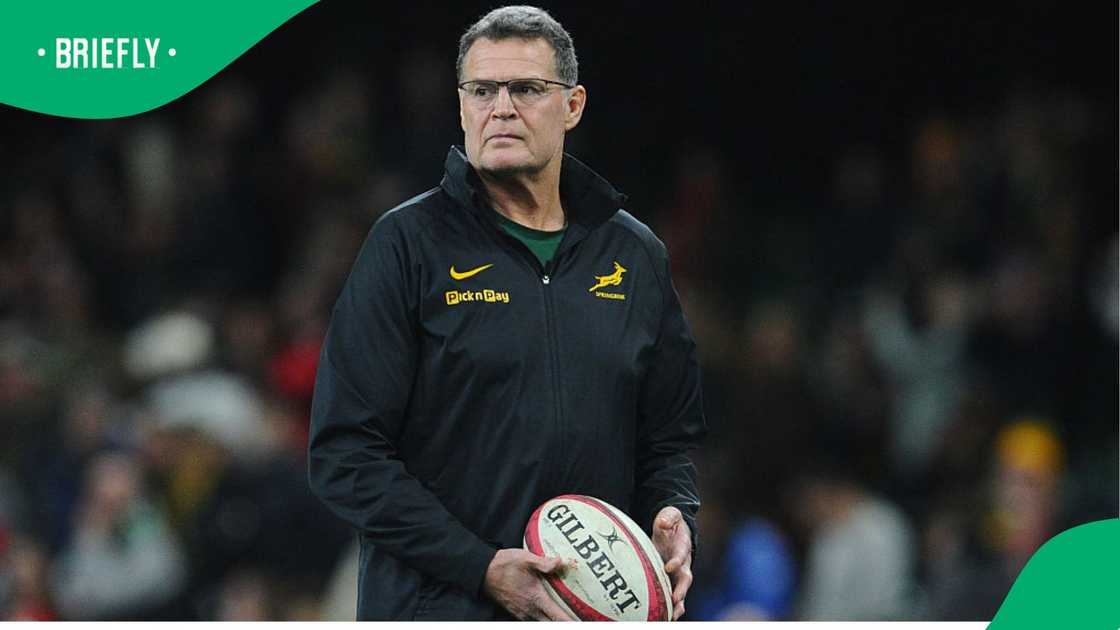 Rassie Erasmus