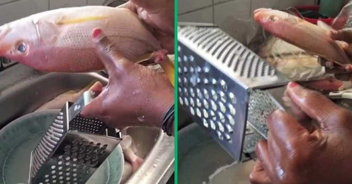 TikTok video of woman cleaning fish with grater TikTok video of woman cleaning fish with grater