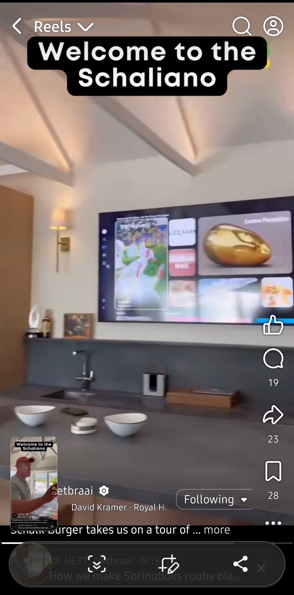 Springboks Springboks