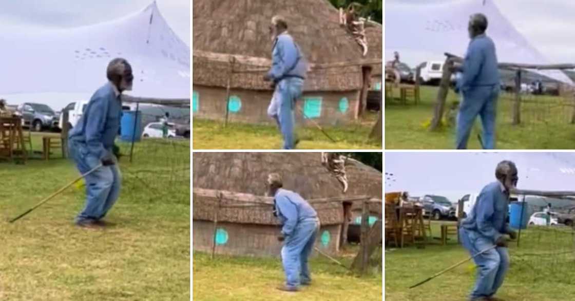 Umkhulu, dancing, social media, Mzansi Umkhulu, dancing, social media, Mzansi