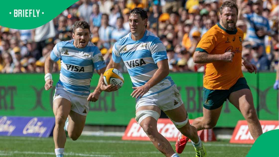 Los Pumas, Springboks, Rugby Championship