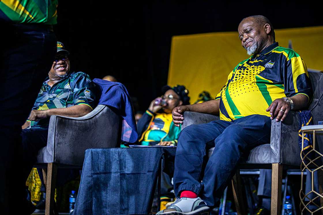 Gwede Mantashe said young people must look for jobs Gwede Mantashe said young people must look for jobs