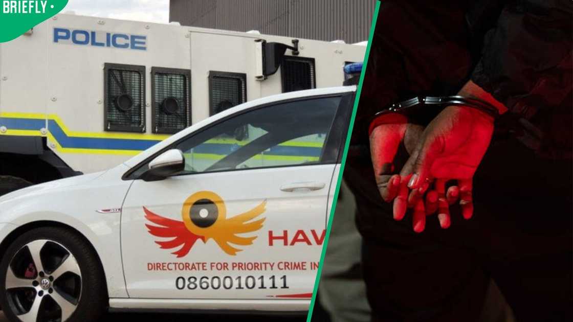 Hawks arrest Hawks arrest