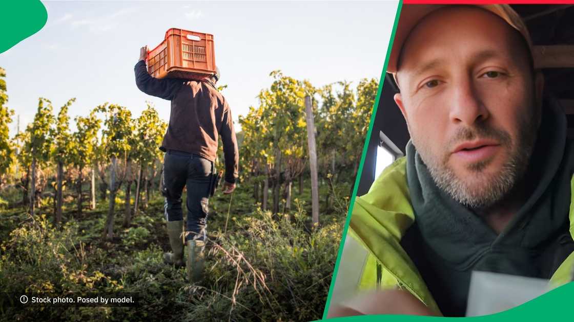 An Afrikaner spoke about a job opportunity in America. An Afrikaner spoke about a job opportunity in America.