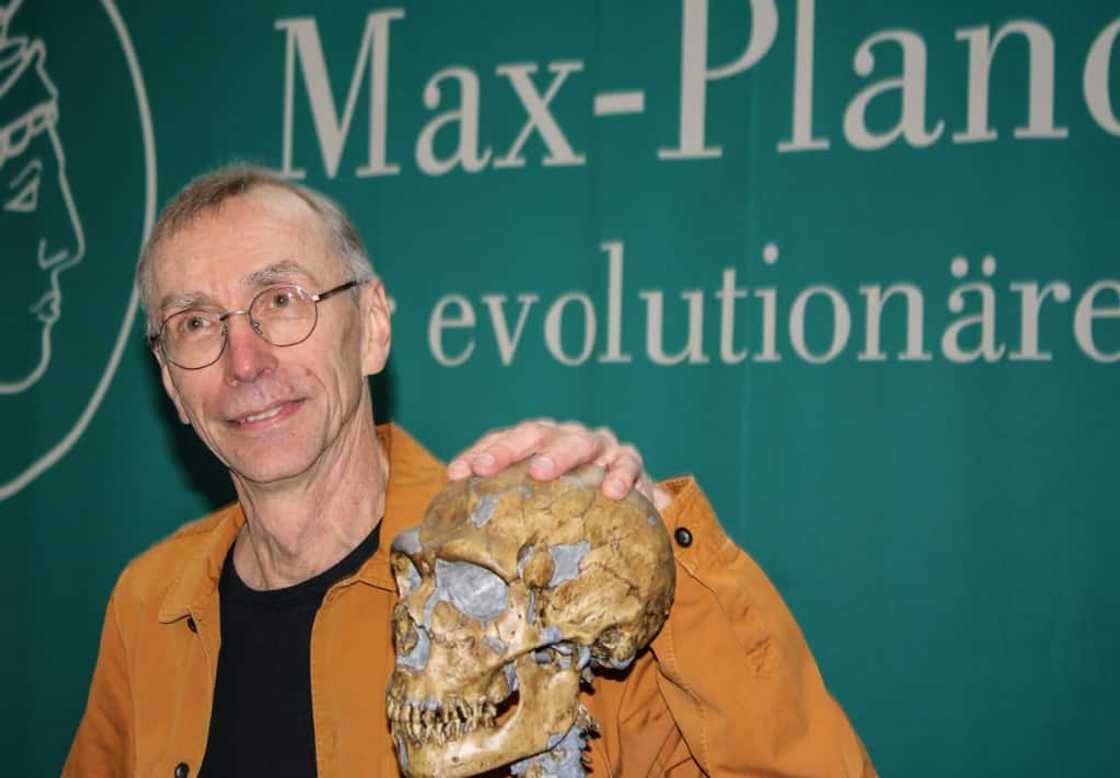 New medicine Nobel laureate Svanto Paabo is considered a father of both paleogenetics and paleogenomics New medicine Nobel laureate Svanto Paabo is considered a father of both paleogenetics and paleogenomics