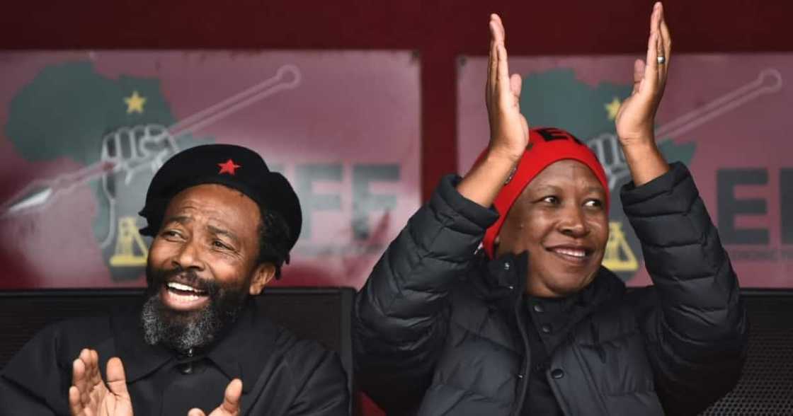 AbaThembu King, Julius Malema, BuyeleKhaya Dalindyebo, EFF, Economic Freedom Fighters, municipal elections