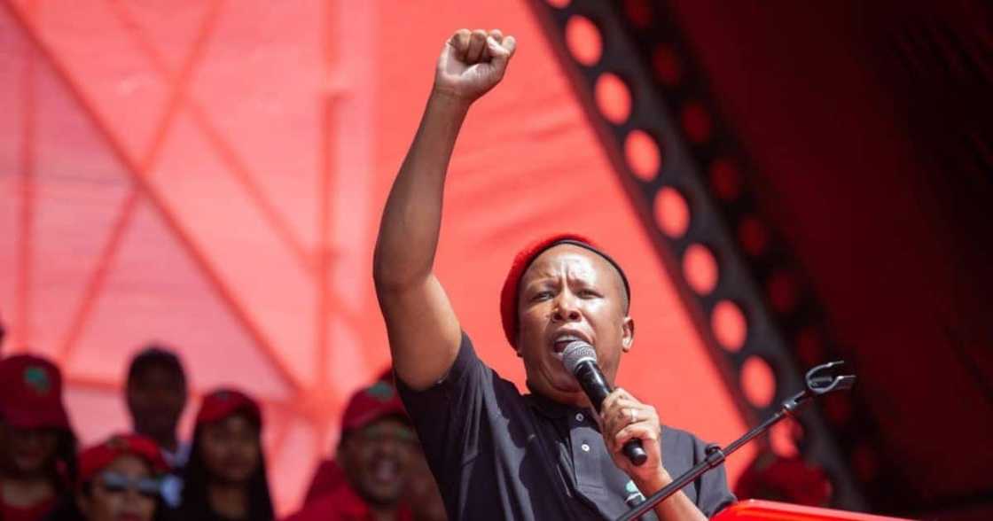Julius Malema, EFF, Economic Freedom Fighters, Afriforum, Johannesburg, Equality Court, South Africa, racism, farm murder Julius Malema, EFF, Economic Freedom Fighters, Afriforum, Johannesburg, Equality Court, South Africa, racism, farm murder