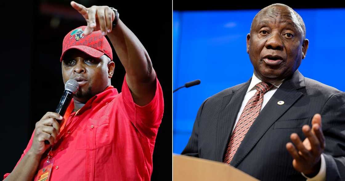 EFF, Floyd Shivambu, President Cyril Ramaphosa's, electric cars EFF, Floyd Shivambu, President Cyril Ramaphosa's, electric cars