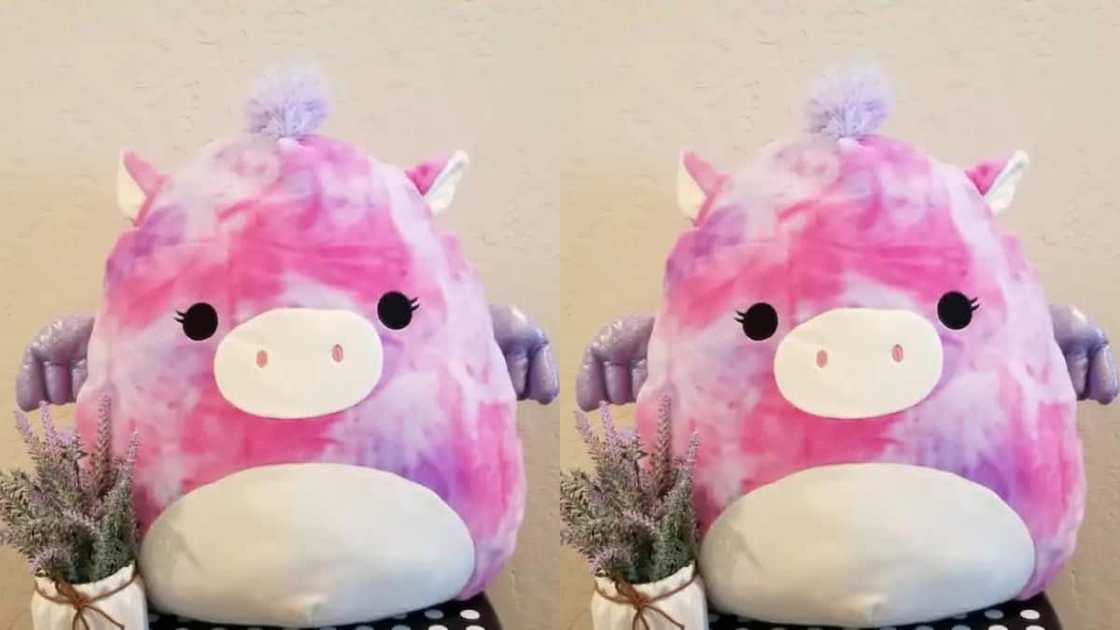 Willow Pegasus the pink Squishmallow Willow Pegasus the pink Squishmallow