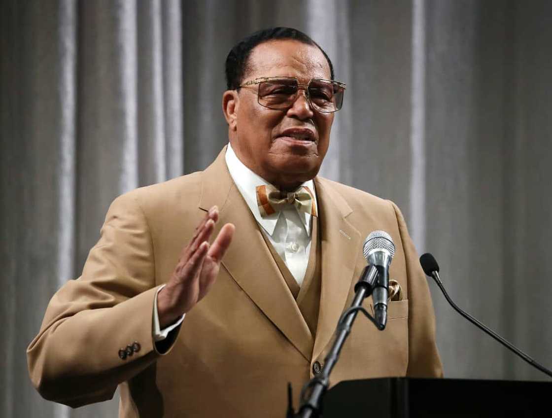 Louis Farrakhan bio