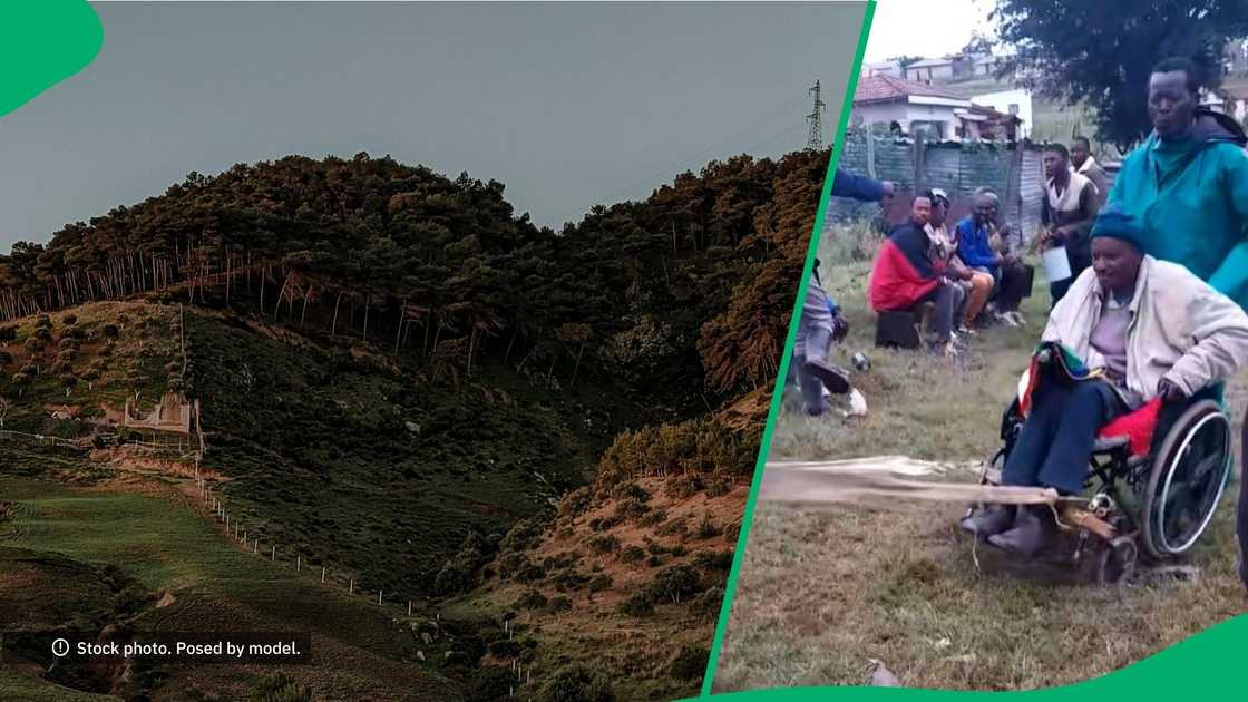 Donkey pulls man on wheelchair in TikTok video Donkey pulls man on wheelchair in TikTok video