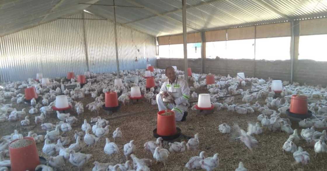 Local man, famer, inspirational Local man, famer, inspirational